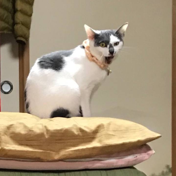 3fa0134f a24e 46ac 88cf eb3c37b1bfcb 1515029474601