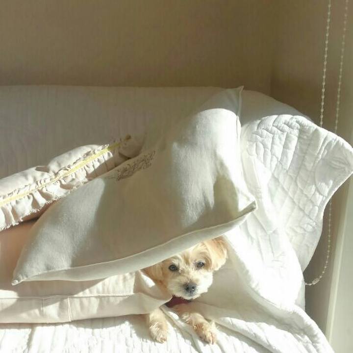 3fa065e4 ab29 4976 a1f9 b34677500ed7 1546306572863