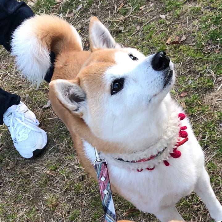 3fa07bfa 5a72 4aa0 ae82 0620a8fc7efc 1677372778135