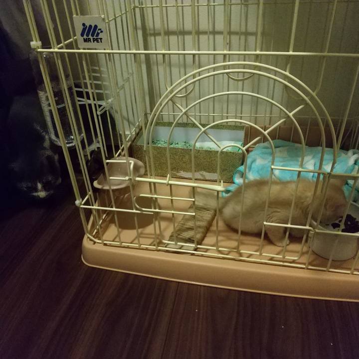 3fa08589 25b2 4306 9e72 76ce615abc34 1602687717333