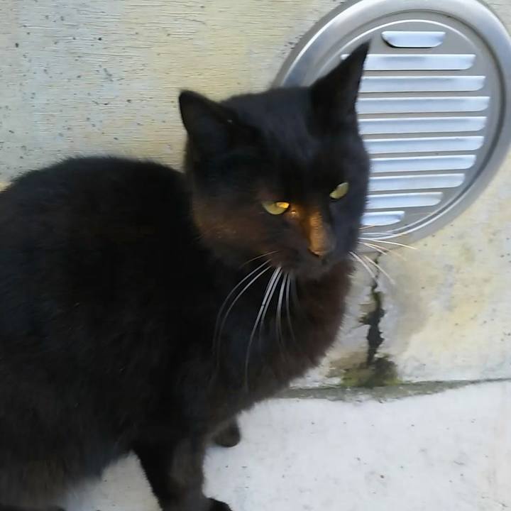 3fa0a204 95f0 4fd9 8078 d86ab7d0e09b 1552601933196