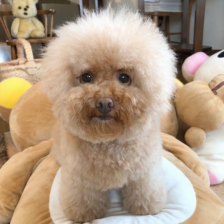 3fa1019a ea27 4de0 b94c 0b91290d9b42 1536551912665