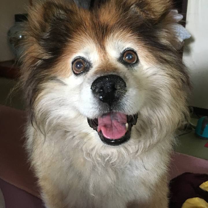 3fa11dd1 f2fc 4b08 9947 26afbb960b16 1607988635437