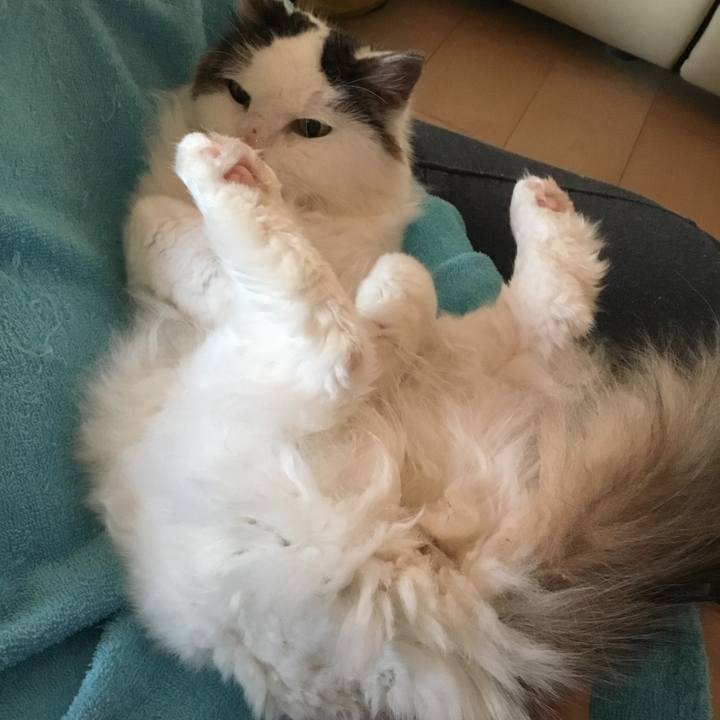 3fa14f08 44fe 4db7 9708 2660881edc2d 1578726619470