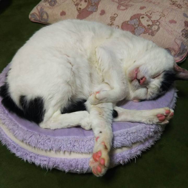 3fa1a12d c69e 41fd 8051 f981fcebdac6 1564991221164