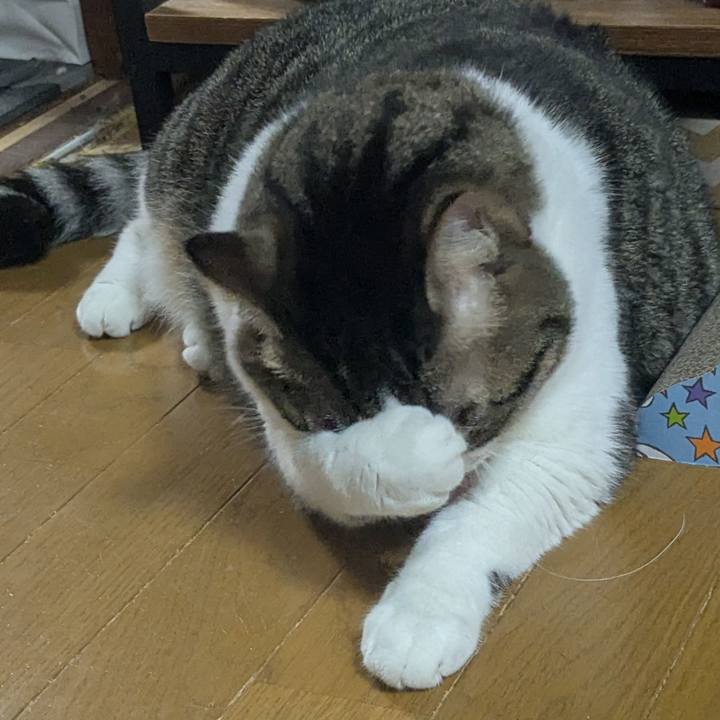 3fa1a406 03e1 4694 8860 4baf4b16bc1c 1757503184627