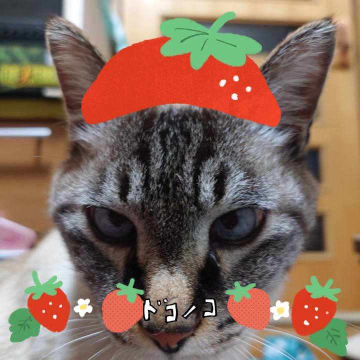 3fa20479 c235 47de b89b 9c4f61b47327 1775563477786