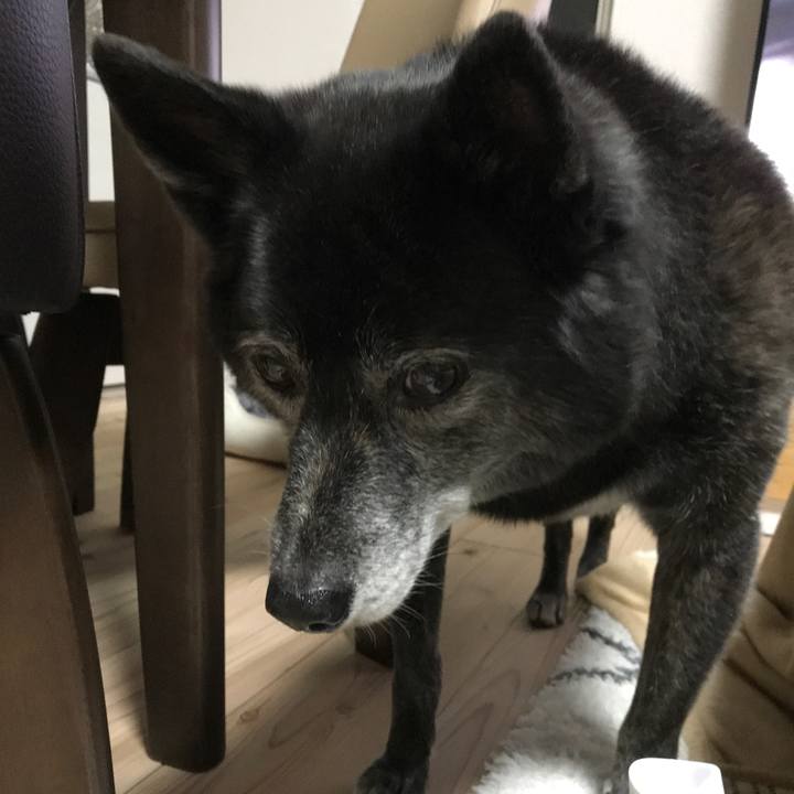 3fa21838 a799 4451 8e8f 5c7a6f91a02a 1582106617208