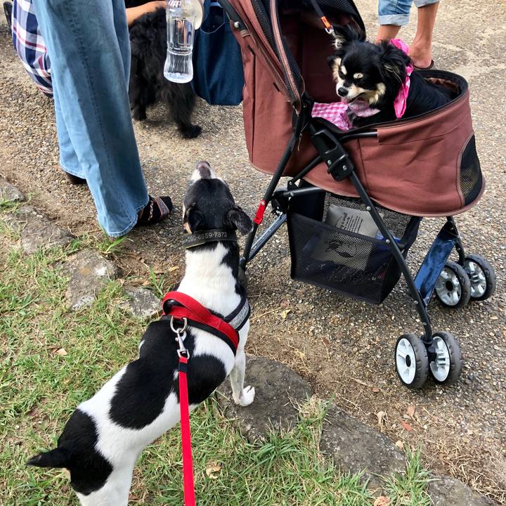 3fa26dc5 ae89 4026 ab2b 50a78dd32993 1568611433644