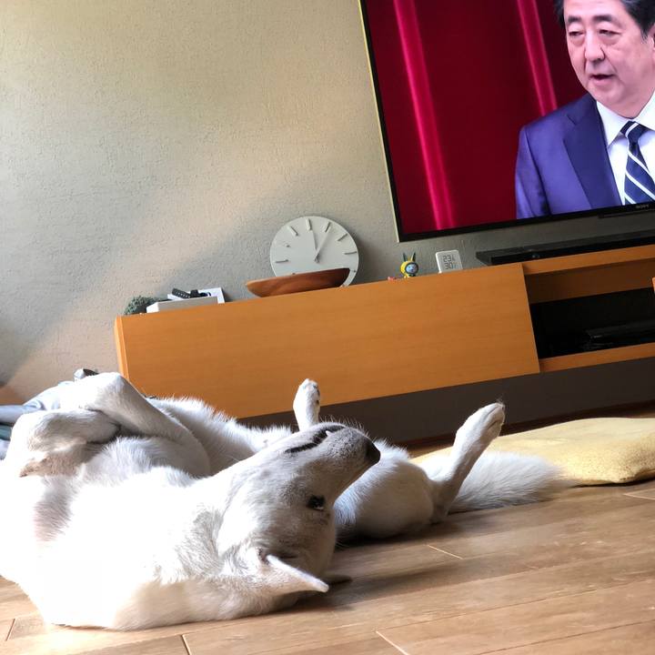 3fa28304 dc07 4d6b 9d53 19ec7611a5fd 1554090276370