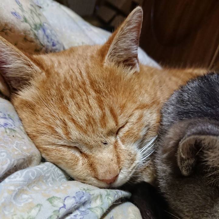 3fa29d93 4367 463f bd88 69321c6f452e 1580038653150