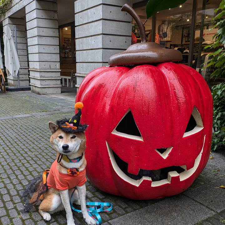 3fa2ac90 f550 4eab b58a 95fe795bd82a 1728041346325