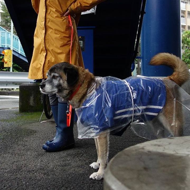 3fa2b38b e38f 4071 aa46 dc0af6a9fc01 1508034458543