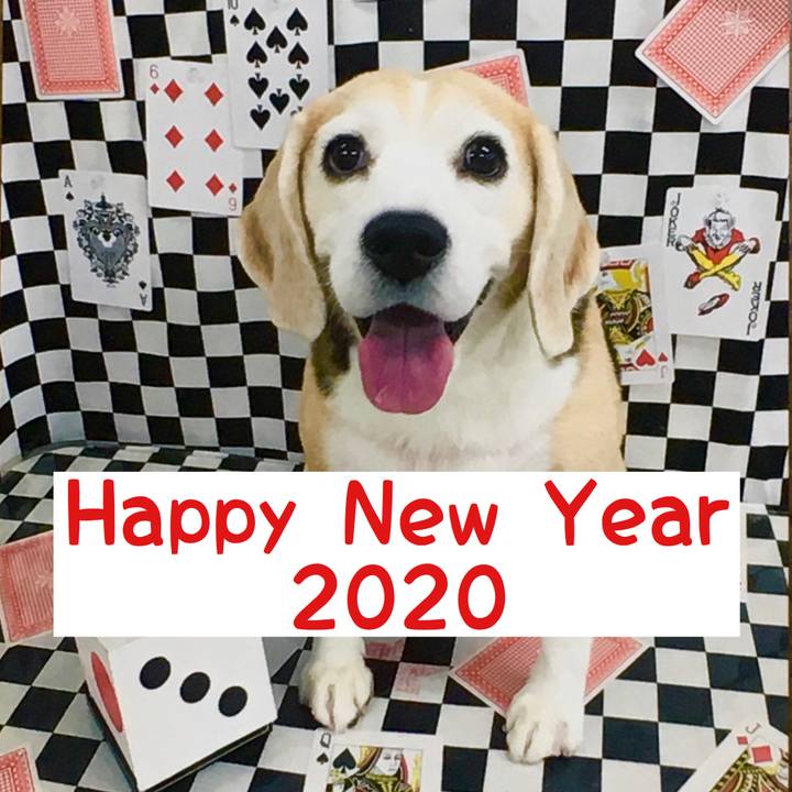 3fa2c1f5 23b3 44e5 bfbb 86ad4cf7ed2b 1577840047613