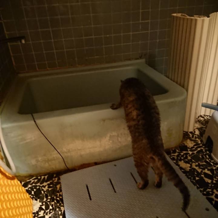 3fa2c861 e320 49cc acf3 2bbb619f21a9 1573979993702