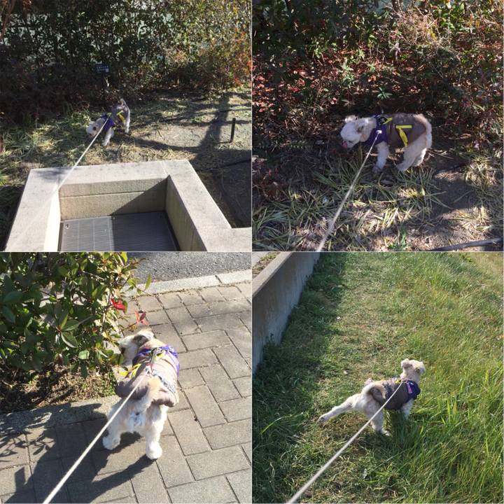 3fa2e3d7 5dfa 4f45 a7df 2958fc4078e1 1548484922346