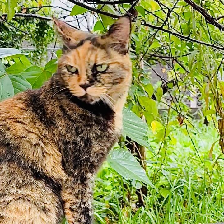 3fa31353 f44e 403e 9013 0a9830e3949f 1756691845900