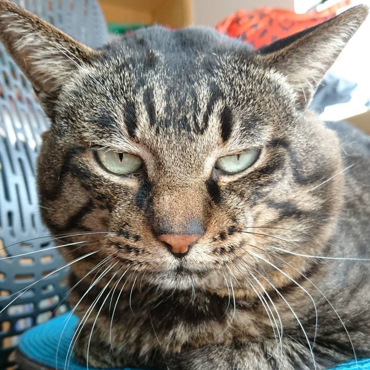 3fa3213d 5c6b 4557 b352 4ab829c6a798 1539006475568