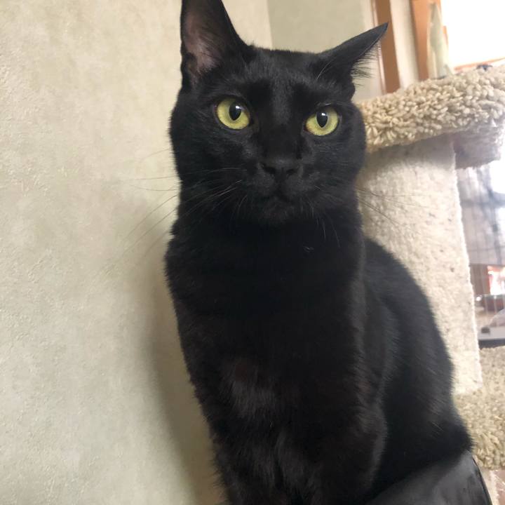 3fa32aec bfa2 4618 b7fc 5b5238ea3349 1574209128214