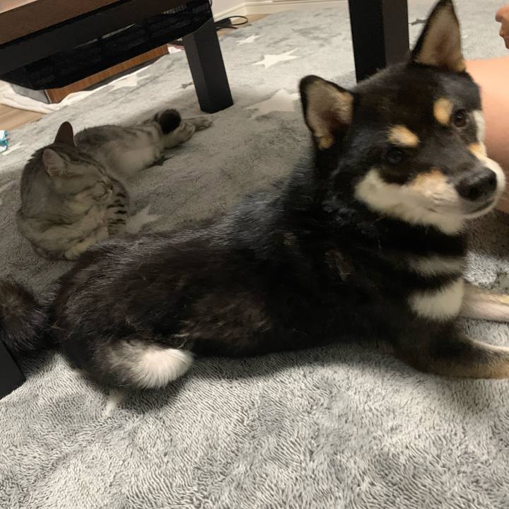 3fa33e2d 4474 4e41 abd3 69ce0c6a78be 1635932724954