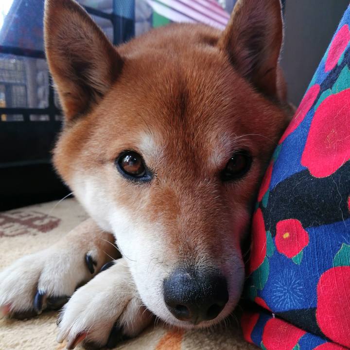 3fa3510a d0e3 4253 bec4 225ce8bba5a4 1582770933245