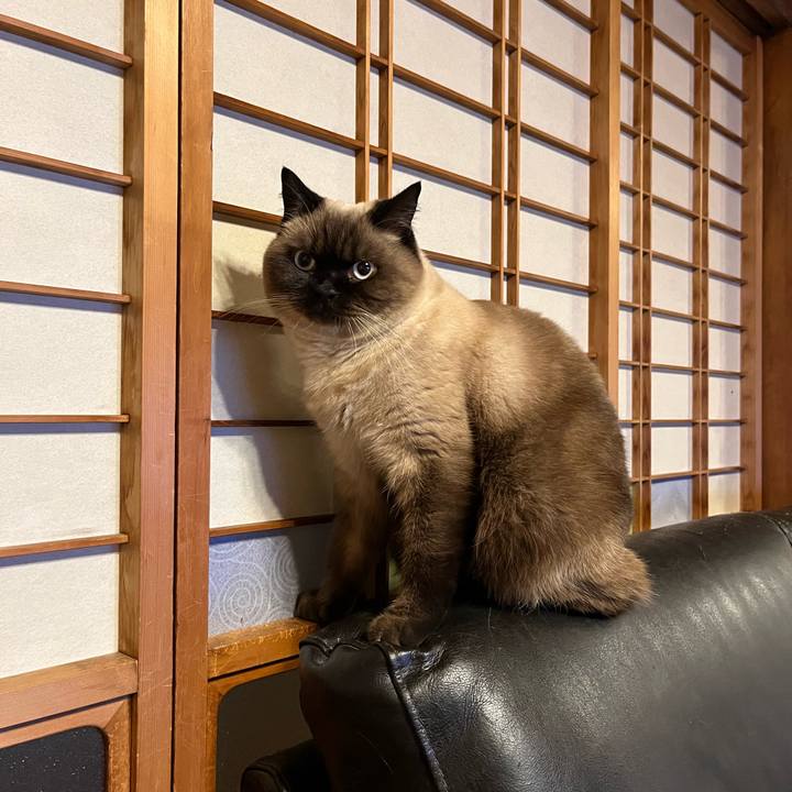 3fa36a3c ba80 425a 9625 98af27ae321f 1638163983504