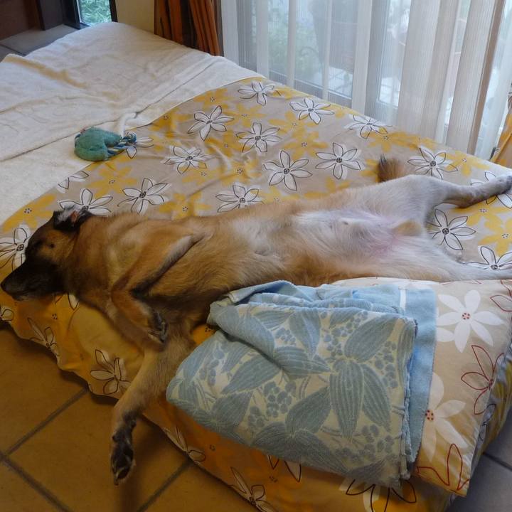 3fa36fbd a707 4e32 849d e646629c2046 1576980274765