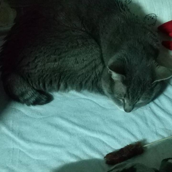 3fa38acf cfbe 439f adc9 4caff6db9fd2 1683748560780