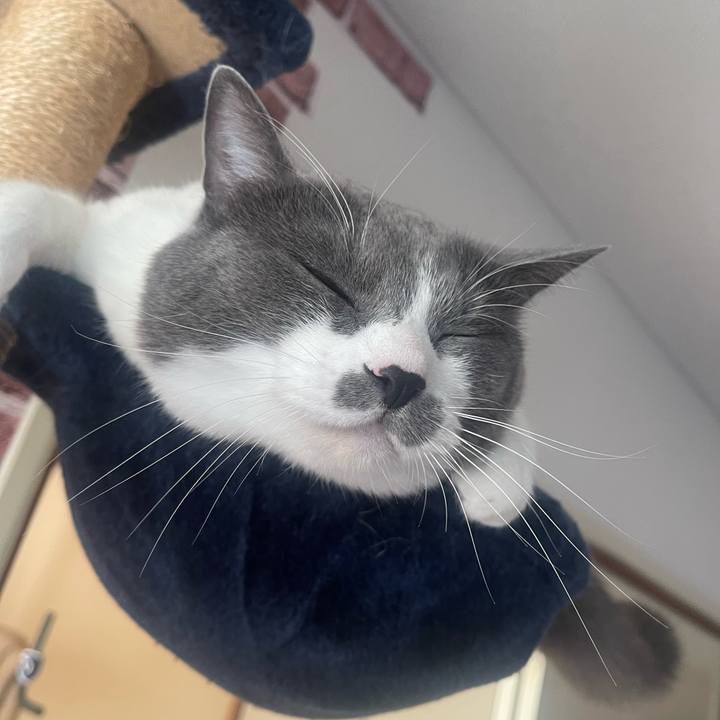 3fa39624 7060 4f1b ac76 234808553c3f 1698706228943