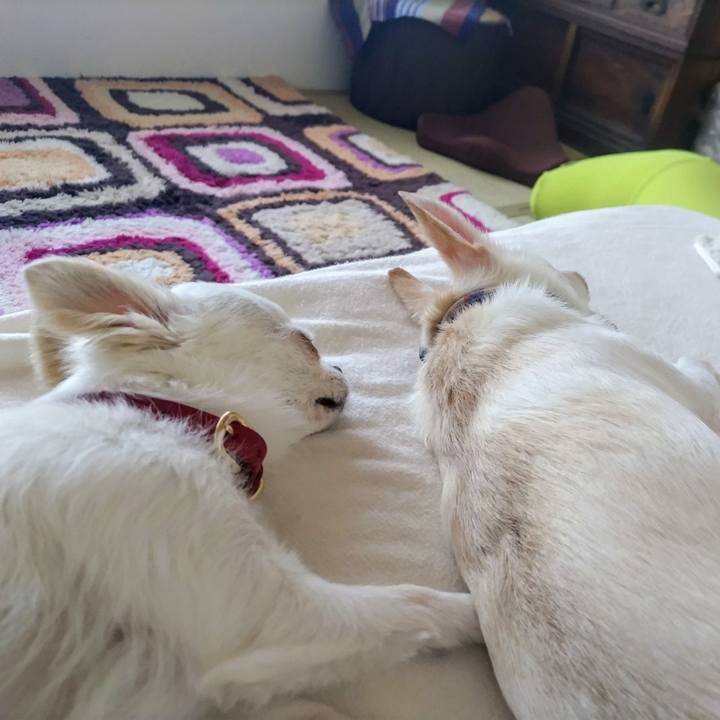 3fa39909 6894 4ff6 9650 85d3466a9784 1754365565737