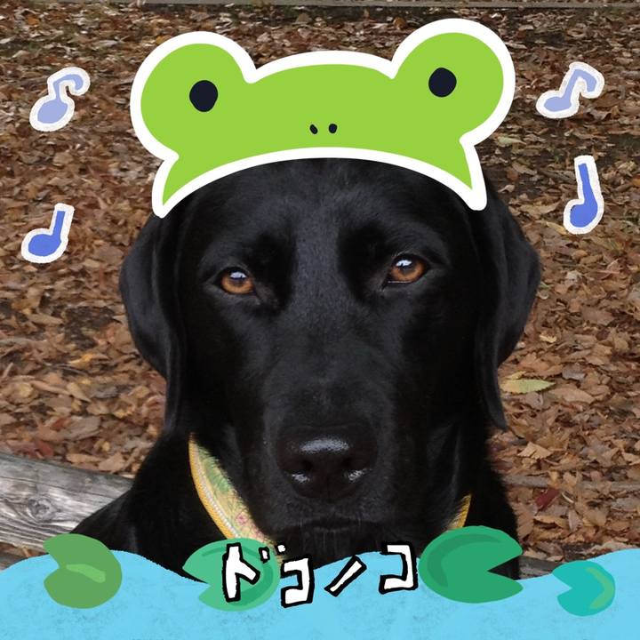 3fa39e0d db0d 4d0f af23 b288427b71bd 1717593105776