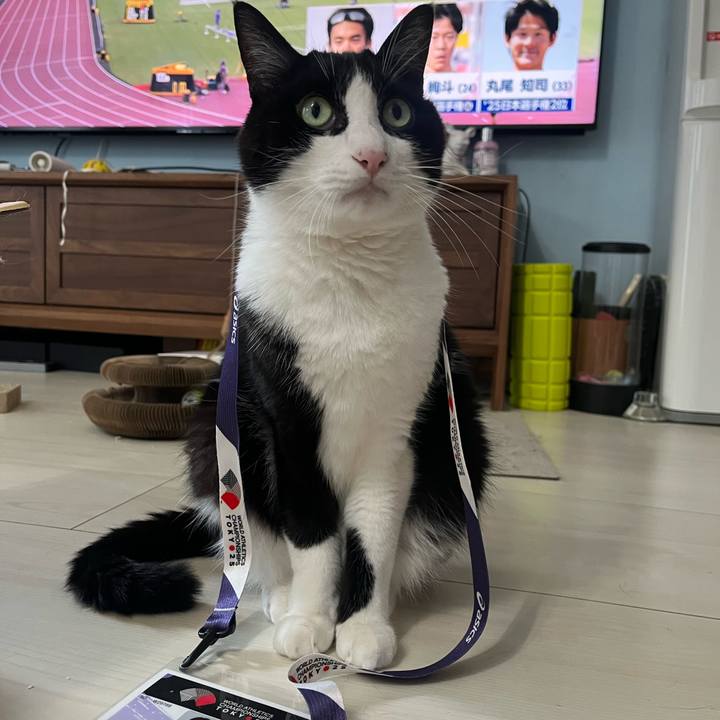 3fa3af89 6ccb 4f56 8973 095465d9d77d 1758342449880