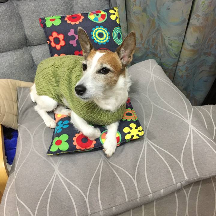 3fa3bbfc 67e8 4aa7 a1d0 a04dd6612b37 1643326160593