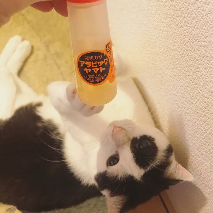 3fa3bee0 02bd 4236 8d92 09317d914e48 1596033242123