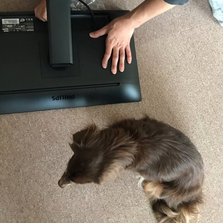 3fa3c68c e4e0 4b6a a8f6 b5f742dabb1f 1602382405353