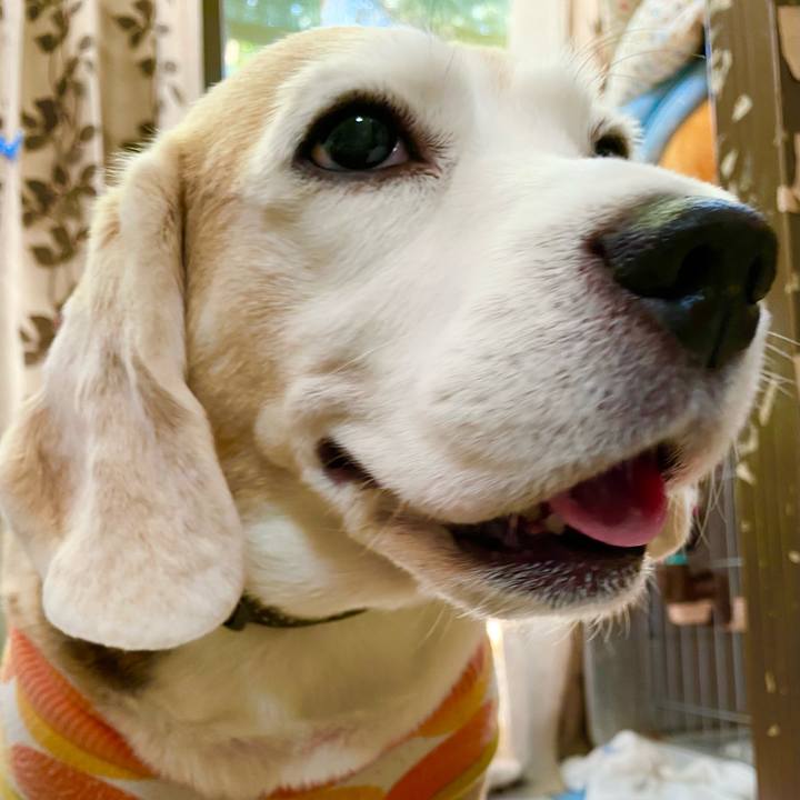 3fa3e180 3f63 4d4e ad5f dd0e21679852 1636775115363