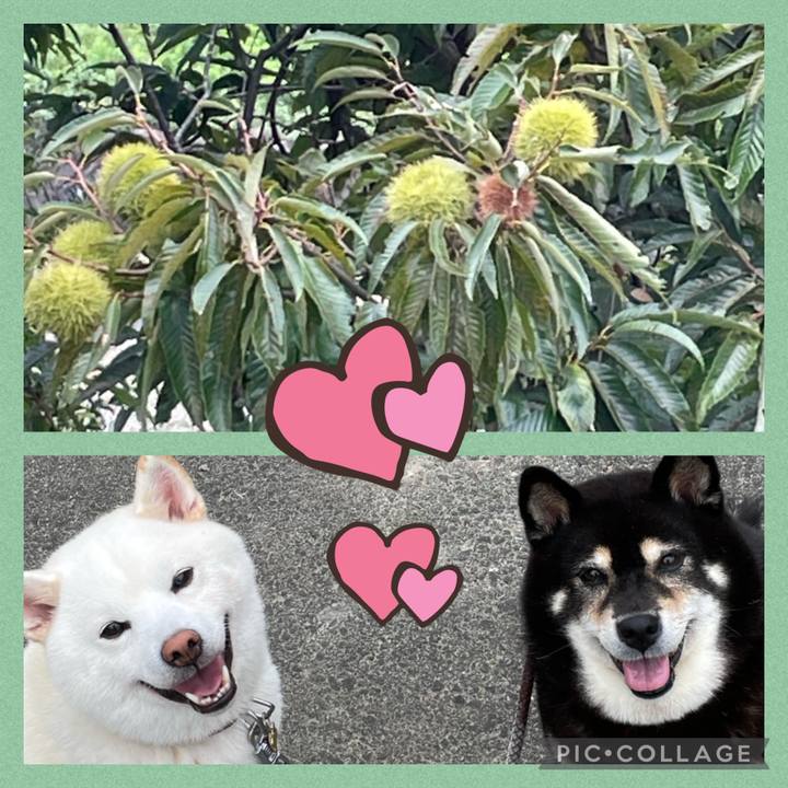 3fa3e858 0832 4ebb 9e36 c78e5723cf3e 1695693256162