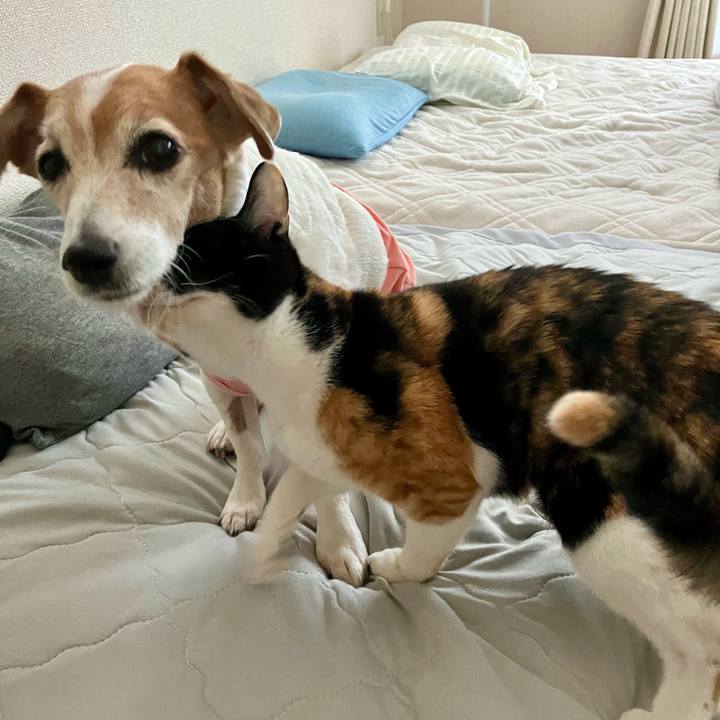 3fa3ee18 7bca 43d8 b92b 2de975280d5d 1700665208306