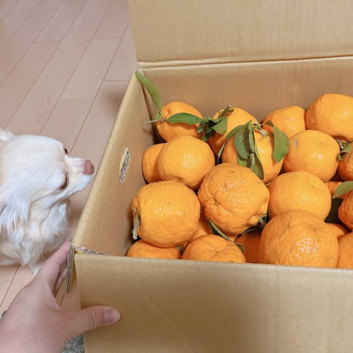 3fa41564 d9b9 4141 a155 44cc55f17ecc 1678092980803