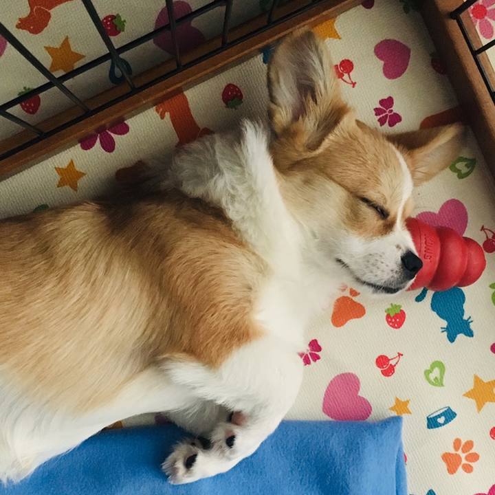 3fa433f9 9b8d 4a83 a8ec 83e0953af3c8 1560498266236