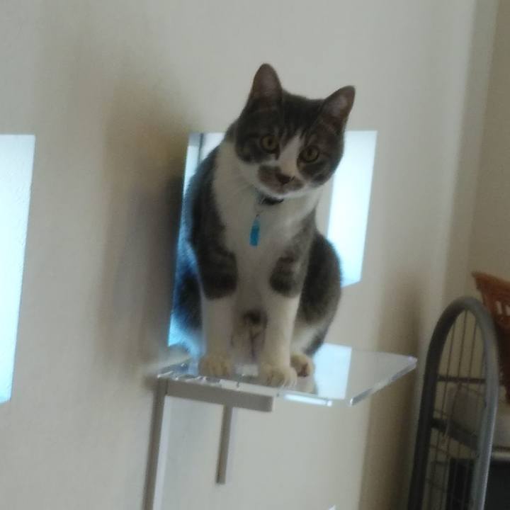 3fa48977 bf29 475e bf4f cdc0262117cb 1578023842642