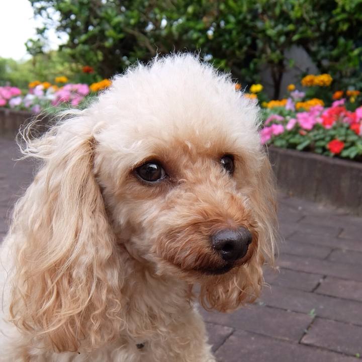 3fa4db53 f2b6 47e6 be0e 449c742c723b 1526815918375