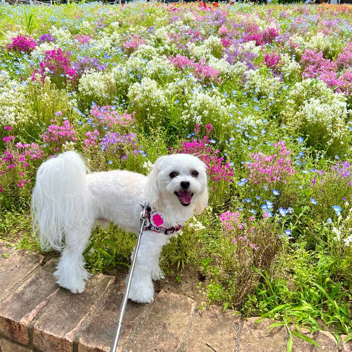 3fa4fb1f 33d7 421a 805f 824304503780 1655083935062