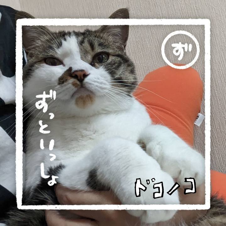 3fa51794 914f 48fb 916e c9ea3231251c 1685972269450