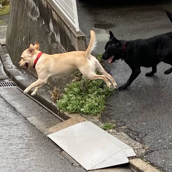 3fa537dc ffee 4617 a6e9 368da9e967eb 1614682497801