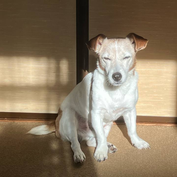 3fa55afc 5d1b 47a2 b555 d20d1925b94f 1758670516886