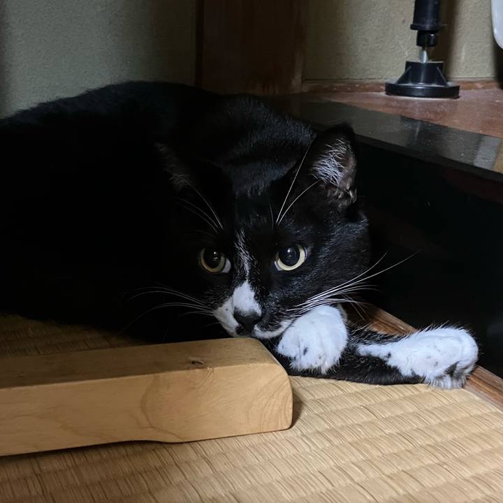 3fa56d63 69b6 44d5 b055 91316dab62fb 1695095631220