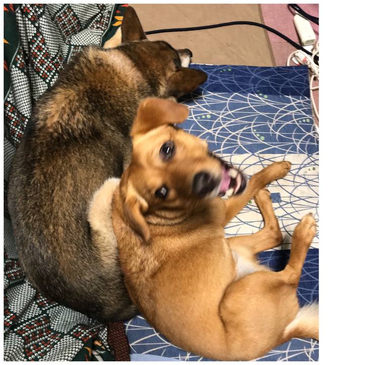 3fa59aea 758d 453d a431 136f87afa97d 1559222088442