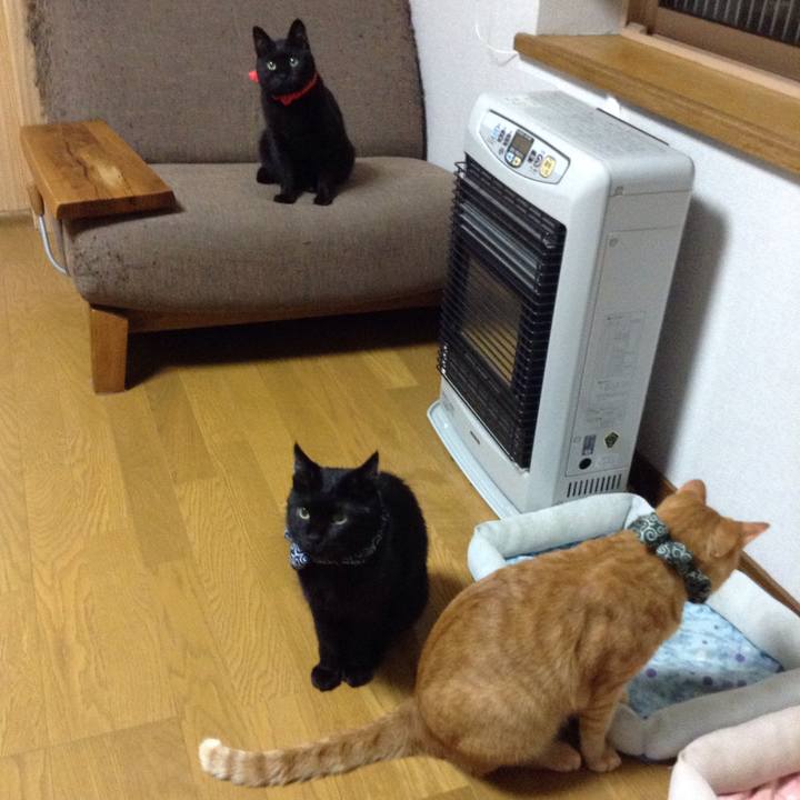 3fa5a0c0 5528 492f 924a d9988037600b 1536148882989