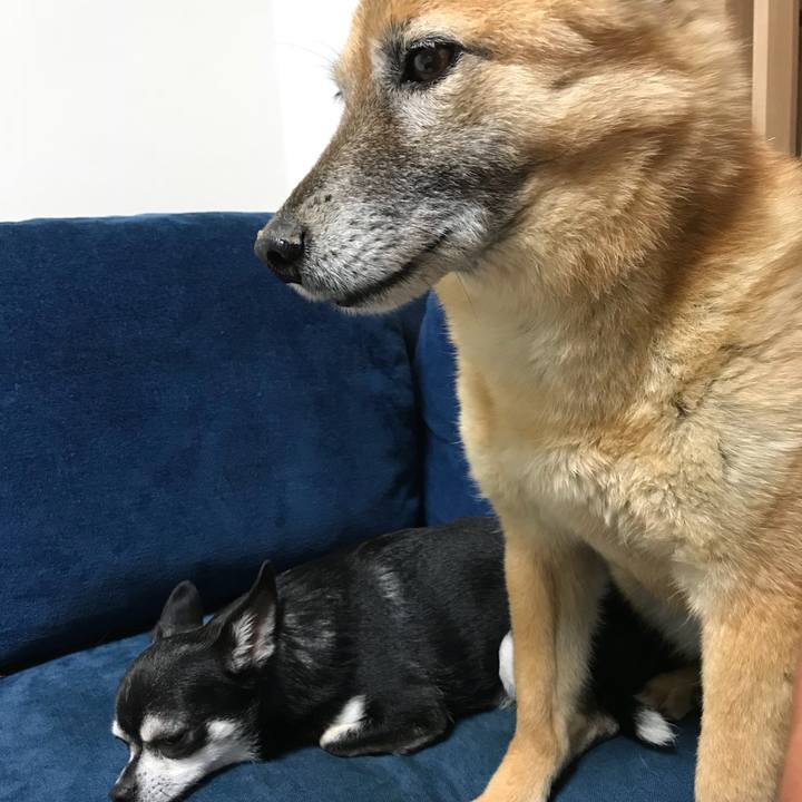 3fa5a318 2a3d 4800 8e9f b4a9f3042425 1531739857231